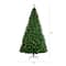 10ft. Pre-Lit Northern Tip Artificial Christmas Tree, Clear LED Lights